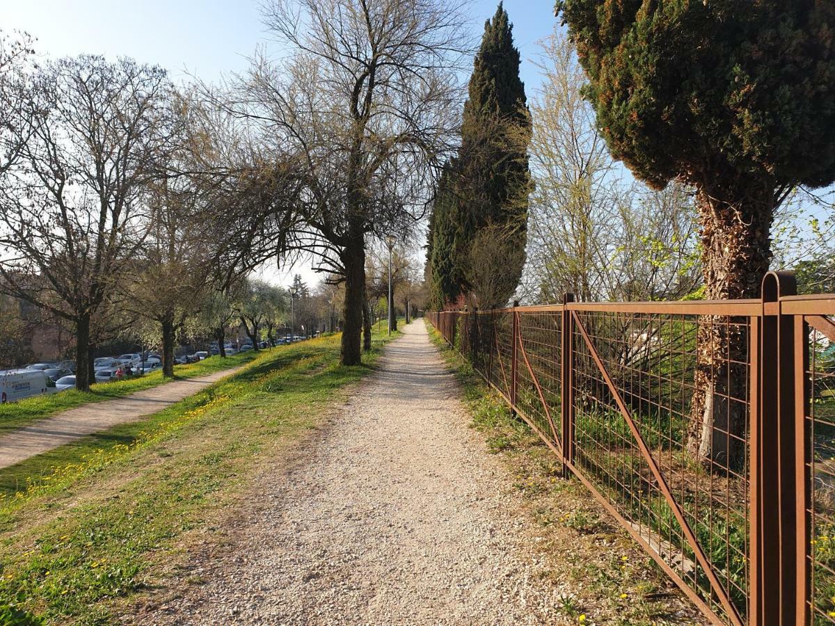Divina San Zeno Apartment Verona Bagian luar foto