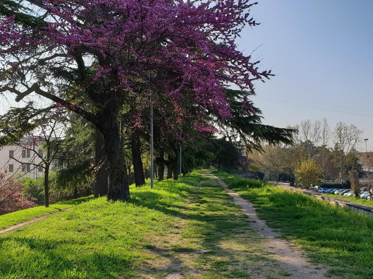 Divina San Zeno Apartment Verona Bagian luar foto